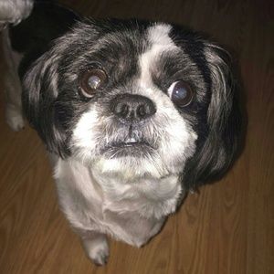 Meet your Posher, Nancy